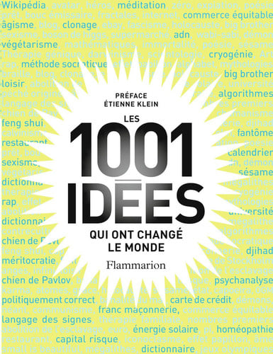 ES 1001 IDEES, de COLLECTIFS FLAMMARION | portada del libro