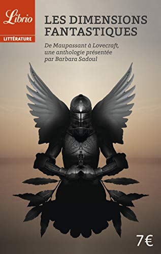 ES DIMENSIONS FANTASTIQUES, de Barbara Sadoul | portada del libro