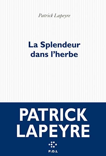 LA SPLENDEUR DANS L'HERBE, de Patrick Lapeyre | portada del libro