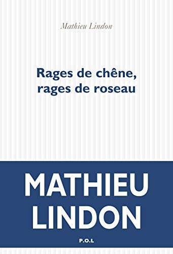 RAGES DE CHENE RAGES DE ROSEAU, de Mathieu Lindon | portada del libro