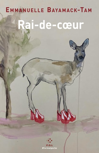 RAI-DE-COEUR, de Emmanuelle Bayamack-Tam | portada del libro