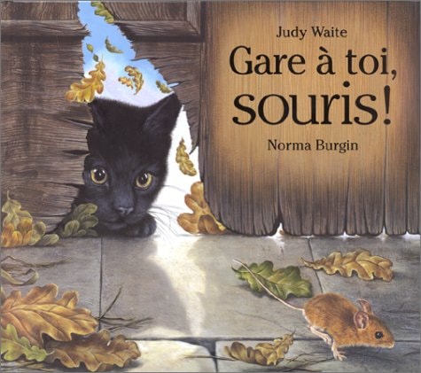 GARE A TOI SOURIS, de Judy Waite | portada del libro