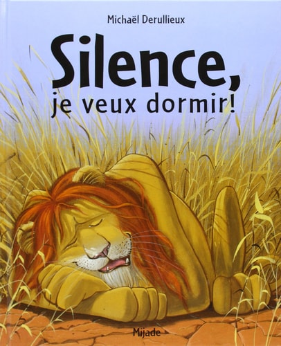 SILENCE JE VEUX DORMIR, de Michaël Derullieux | portada del libro