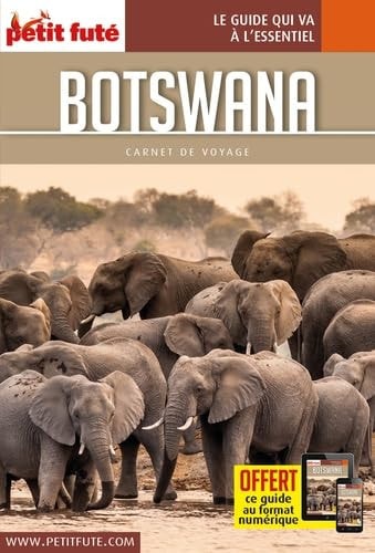OTSWANA 2017 CARNET PETIT FUTE + OFFRE, de Petit Futé | portada del libro