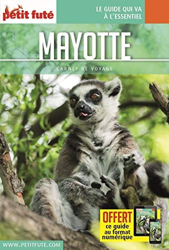 AYOTTE 2017 CARNET PETIT FUTE + OFFRE N, de Dominique Auzias | portada del libro