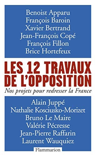 ES 12 TRAVAUX DE L'OPPOSITION, de COLLECTIFS FLAMMARION | portada del libro