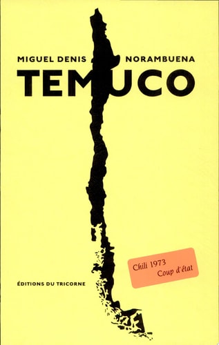 TEMUCO, de Miguel Denis Norambuena | portada del libro