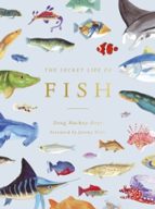 The Secret Life of Fish, de DOUG MACKAY HOPE | portada del libro
