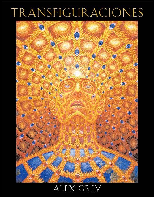 TRANSFIGURACIONES | portada del libro