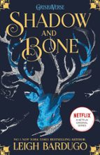 SHADOW AND BONE: SHADOW AND BONE, de Leigh Bardugo | portada del libro