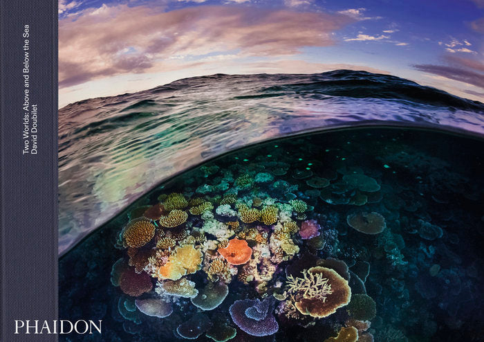 TWO WORLDS: ABOVE AND BELOW THE SEA, de MORAN, KATHLEEN F. | portada del libro
