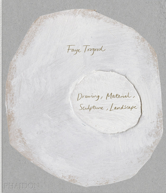FAYE TOOGOOD, de O´NEILL, ALISTAIR | portada del libro