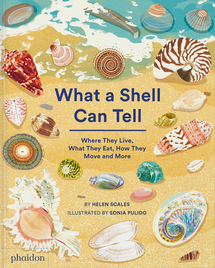 WHAT A SHELL CAN TELL, de PULIDO, SONIA | portada del libro