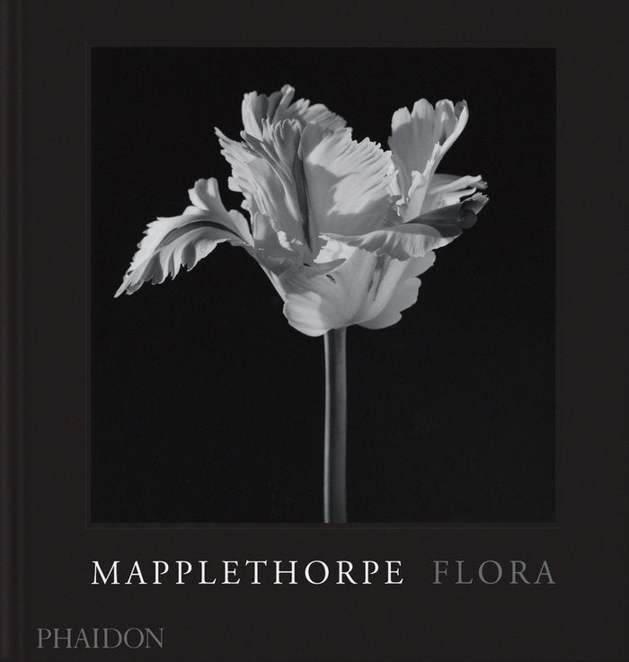 MAPPLETHORPE FLORA, de HOLBORN, MARK | portada del libro