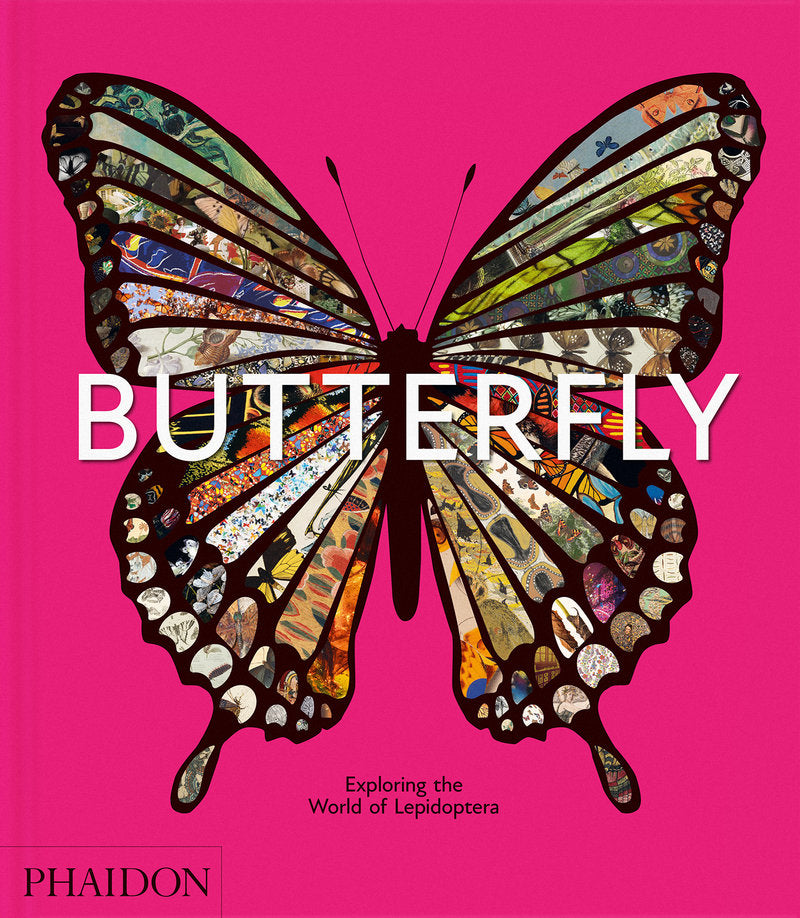 Butterfly | portada del libro