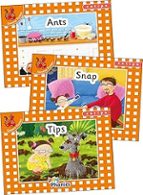 JOLLY PHONICS ORANGE LEVEL READERS SET 1, de LOUISE VAN POTTELSBERGHE | portada del libro