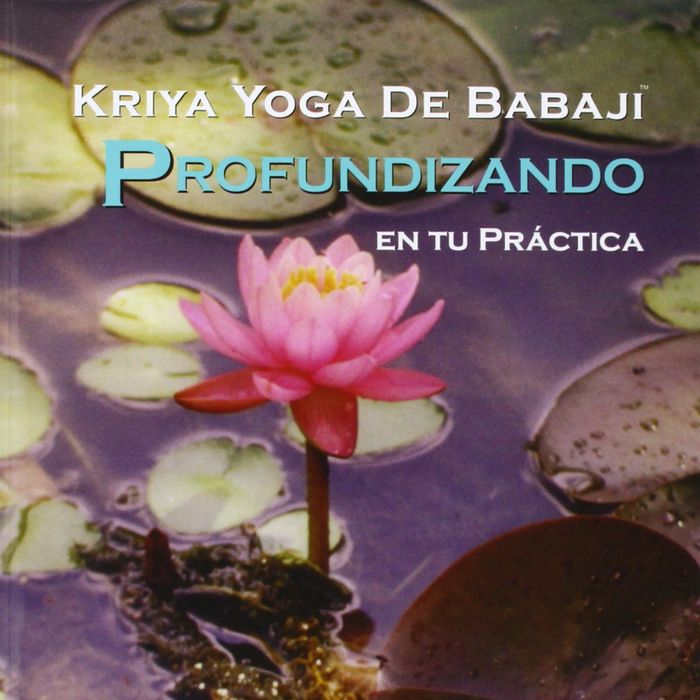 PROFUNDIZANDO EN TU PRACTICA. YOGA, de AHLUND | portada del libro