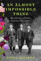 AN ALMOST IMPOSSIBLE THING, de FIONA DAVISON | portada del libro