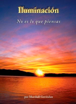 ILUMINACION NO ES LO QUE PIENSAS,LA, de GOVINDAN,MARSHALL | portada del libro