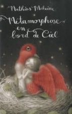 ETAMORPHOSE EN BORD DE CIEL, de Mathias Malzieu | portada del libro
