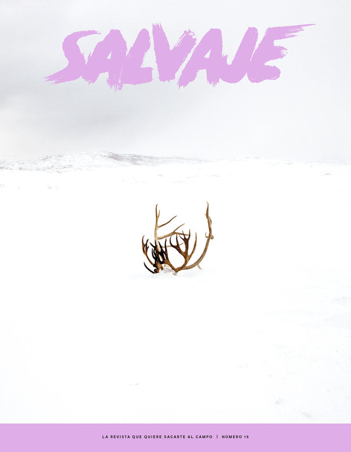 REVISTA SALVAJE 15, de ARANDA, AITOR | portada del libro