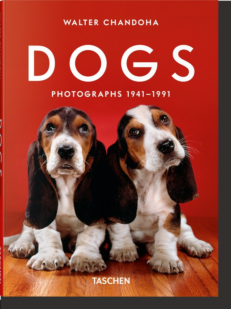 WALTER CHANDOHA. DOGS. PHOTOGRAPHS 1941?1991 | portada del libro