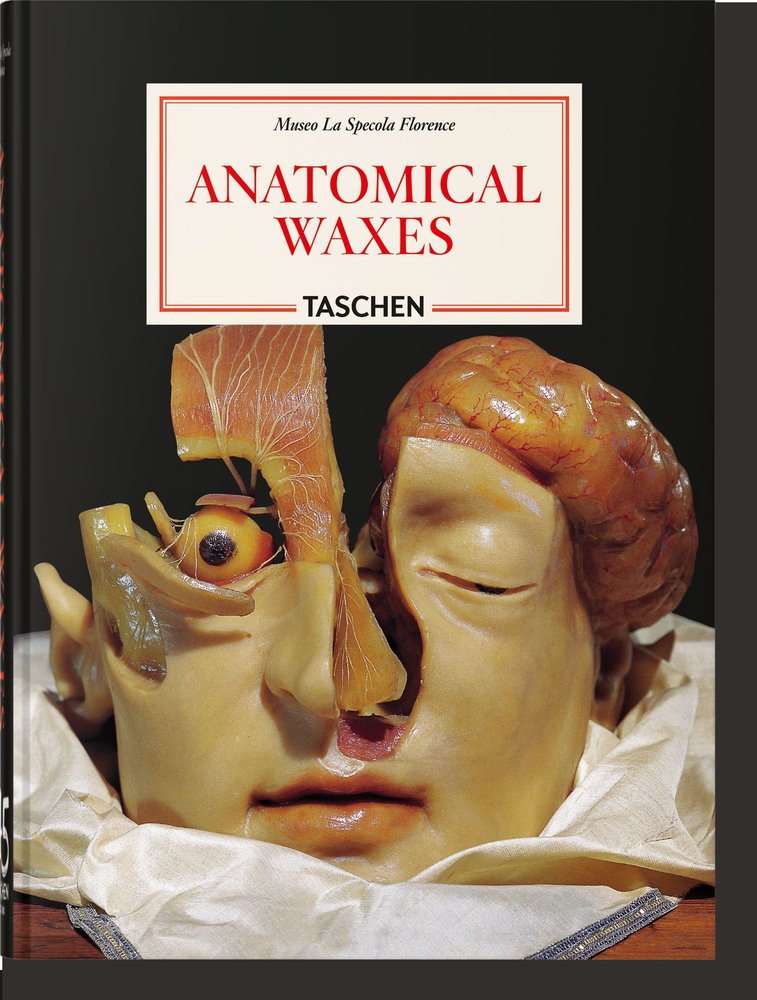ANATOMICAL WAXES. 45TH ED., de POGGESI, MARTA | portada del libro