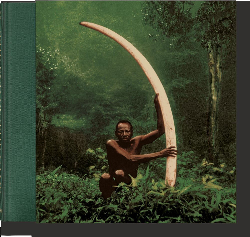 PETER BEARD. THE END OF THE GAME, de BEARD, PETER | portada del libro