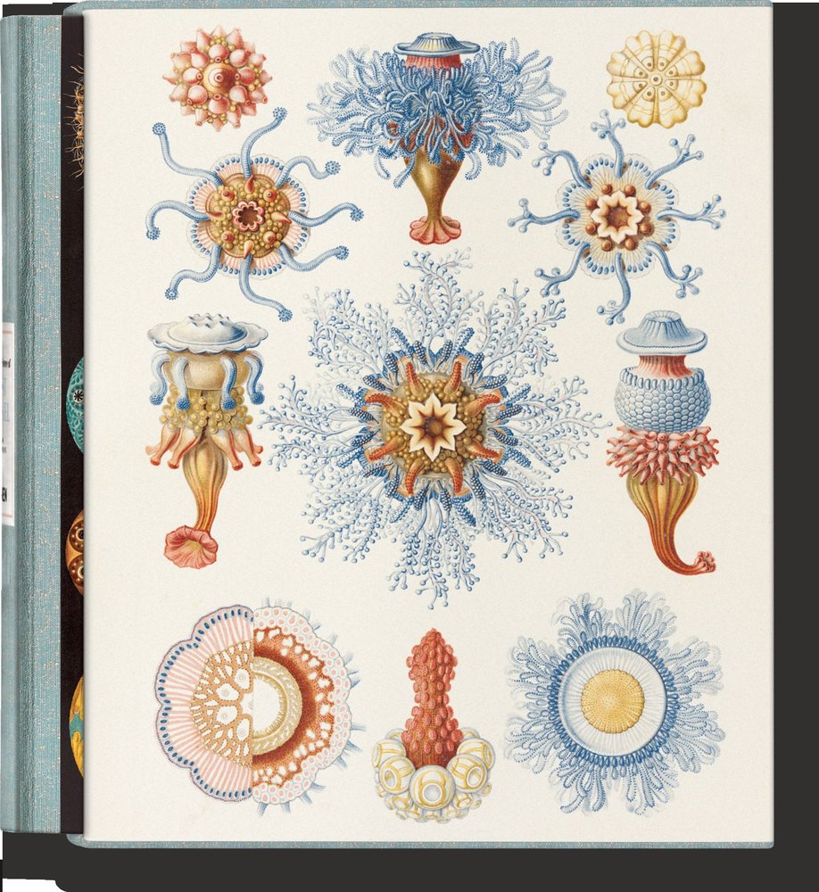 THE ART AND SCIENCE OF ERNST HAECKEL, de VOSS, JULIA | portada del libro