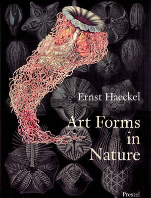 ARTS FORMS IN NATURE PRINTS ERN, de BREIDBACH | portada del libro