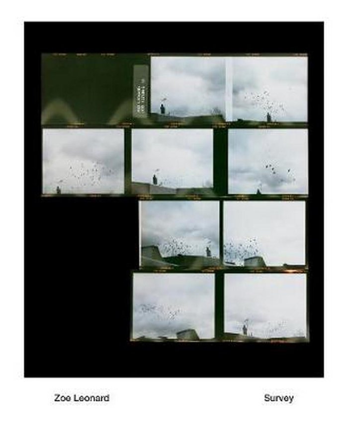 Zoe Leonard - Survey (Abril 2018), de VV.AA. | portada del libro