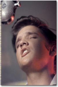 Alfred Wertheimer. Elvis and the Birth of Rock and Roll, de WERTHEIMER | portada del libro