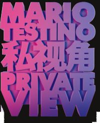 Mario Testino. Private View, de LAGERFELD | portada del libro