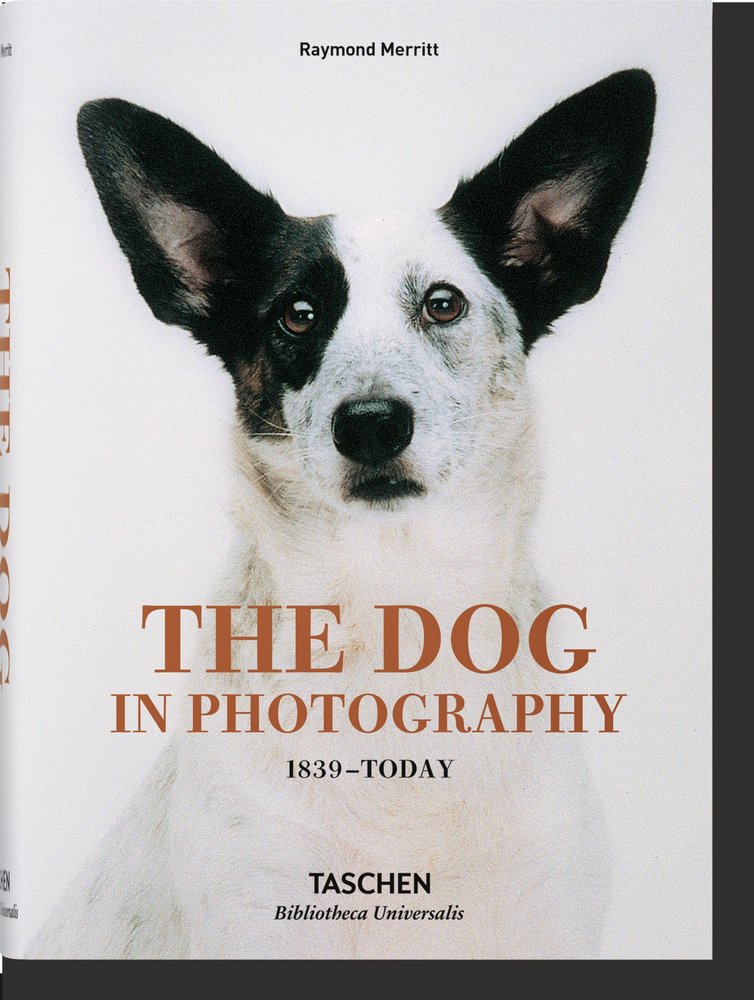 DOG IN PHOTOGRAPHY 1839 TODAY (AL/FR/IN) | portada del libro