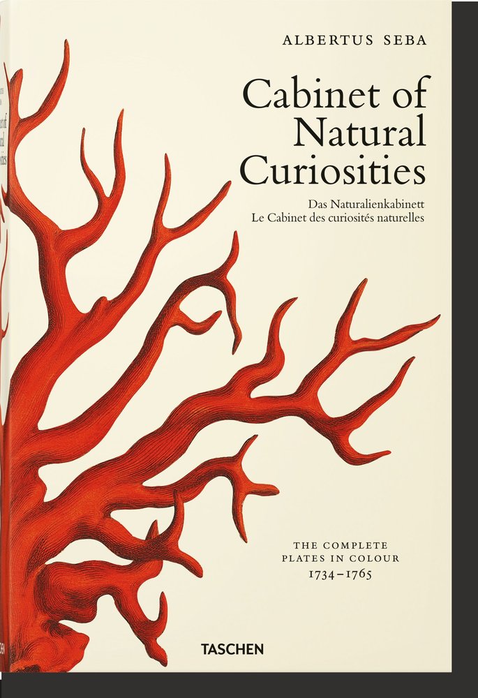 Seba. Cabinet of Natural Curiosities, de Müsch, Irmgard | portada del libro