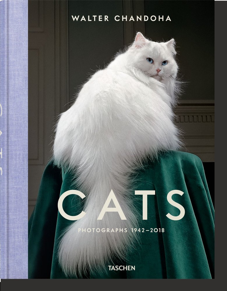 Walter Chandoha. Cats. Photographs 1942-2018, de , Michals, Susan | portada del libro