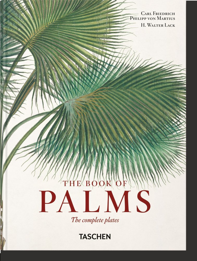 von Martius. El libro de las palmeras. 40th Ed., de , Lack, H. Walter | portada del libro