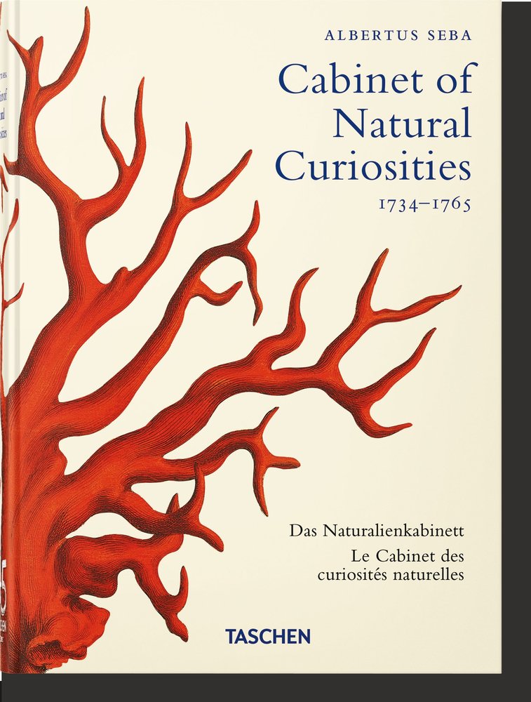 Seba. Cabinet of Natural Curiosities. 40th Ed., de , Müsch, Irmgard | portada del libro