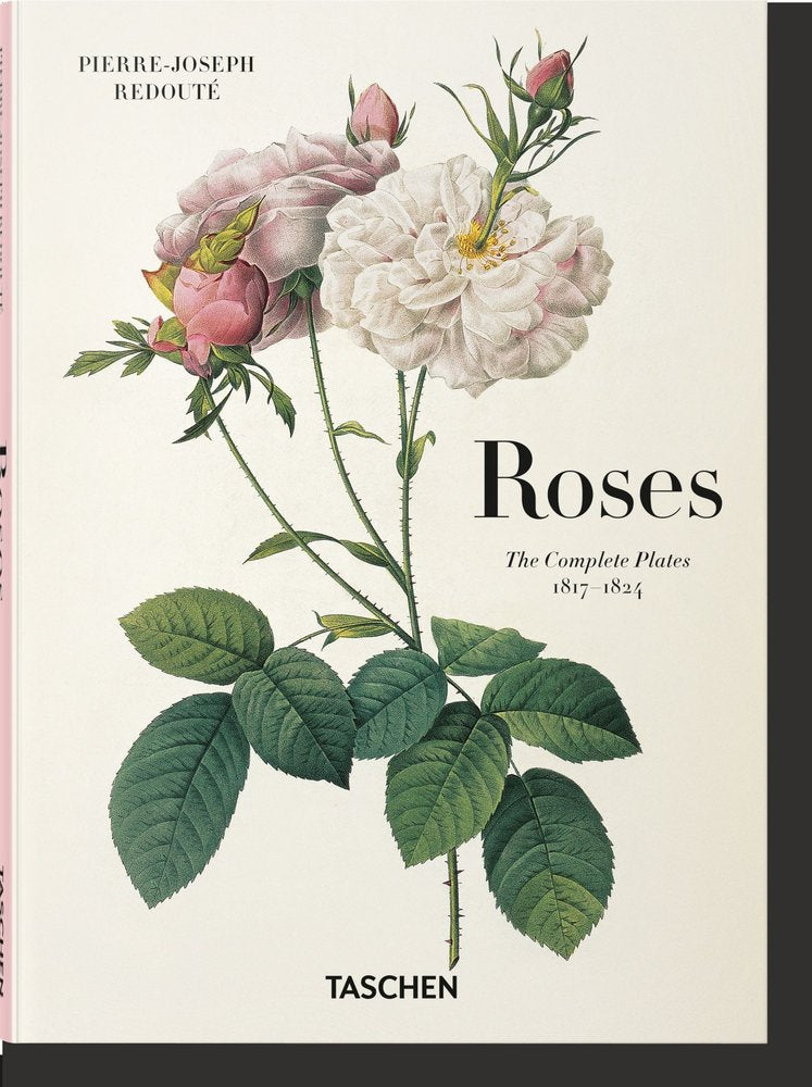 REDOUTE. ROSES, de , Loughrey, Peter | portada del libro