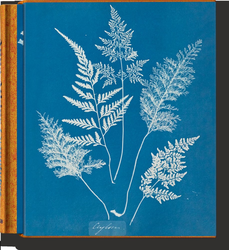 Anna Atkins. Cyanotypes, de Walther, Peter | portada del libro