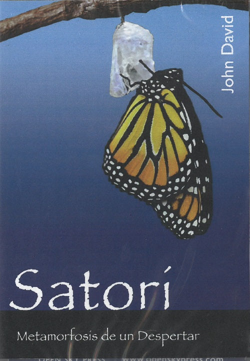 Satorí, de John | portada del libro