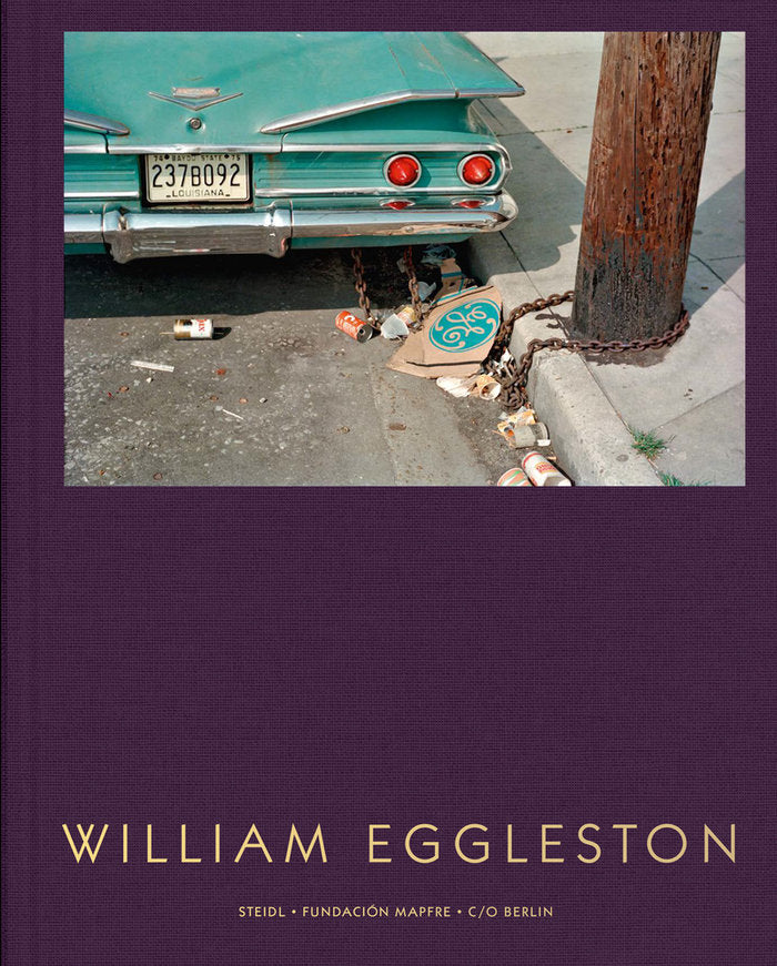 WILLIAM EGGLESTON, de HOFFMANN, FELIX | portada del libro