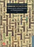 HISTORIA DE LA CULTURA LITERARIA EN HISPANOMERICA I, de Saúl Yurkievich | portada del libro