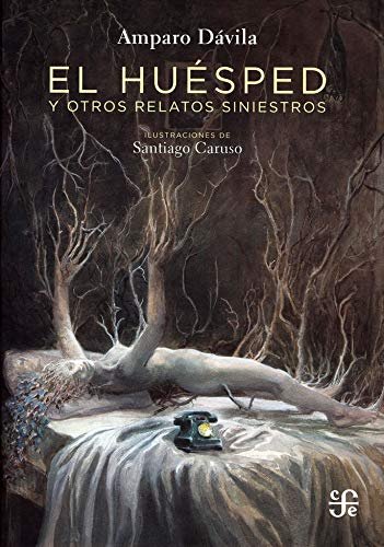 EL HUESPED, de DAVILA | portada del libro