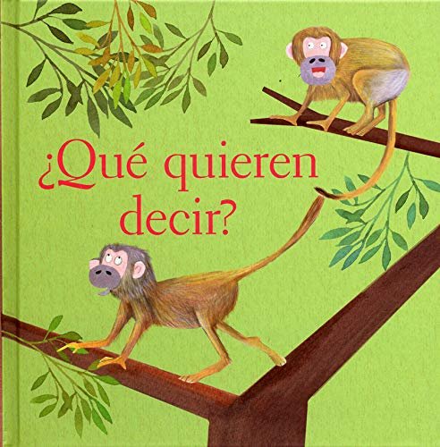 QUE QUIEREN DECIR, de MAGAÑA RUEDA,PATRICIA | portada del libro