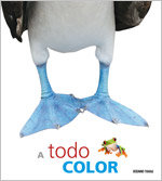 A todo color, de Varios autores | portada del libro