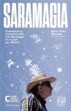 SARAMAGIA, de ALMA DELIA MIRANDA | portada del libro