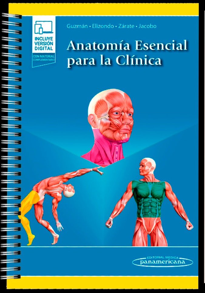 ANATOMIA ESENCIAL PARA LA CLINICA | portada del libro