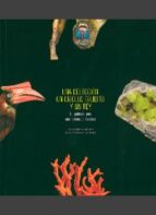 UNA COLECCIÓN, UN CRIOLLO ERUDITO, Y UN REY, de CRISTINA CANOVAS FERNANDEZJAVIER SANCHEZ ALMAZAN | portada del libro