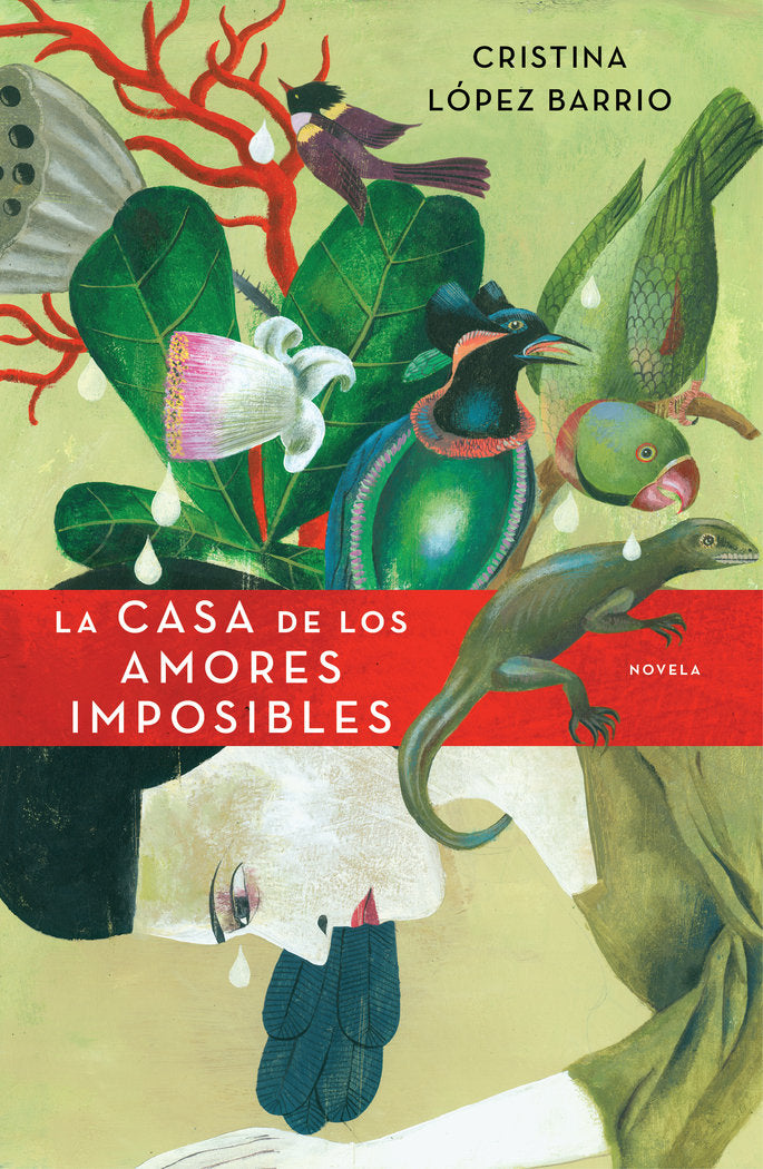 La casa de los amores imposibles, de López Barrio, Cristina | portada del libro